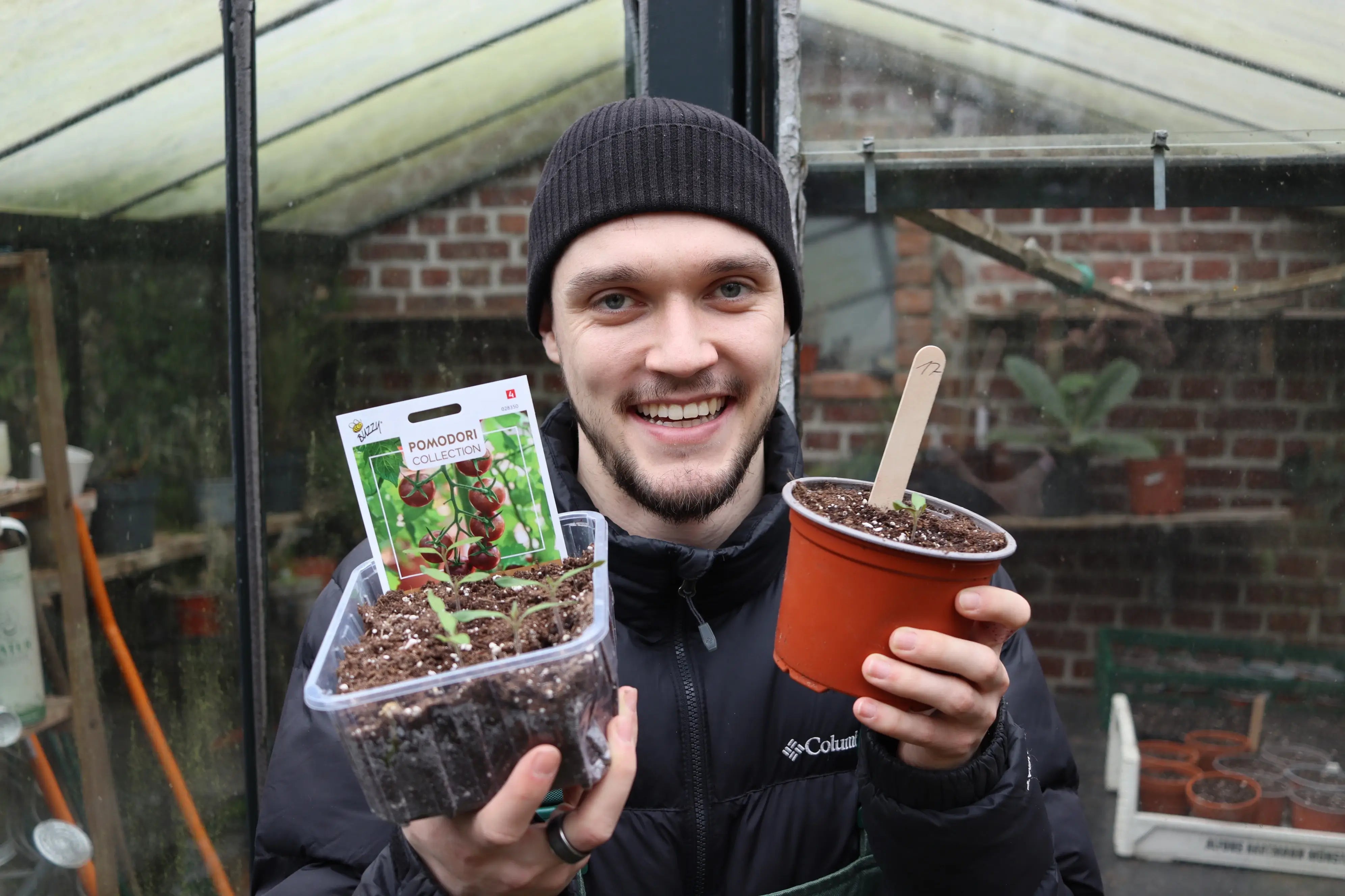 Tipps für große Tomaten!