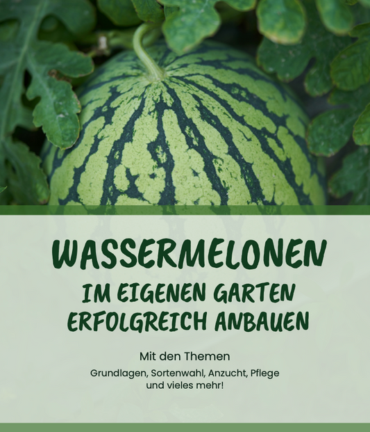 Der Weg zur eigenen Melonen Ernte (PDF)